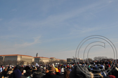 DSC_0115.JPG