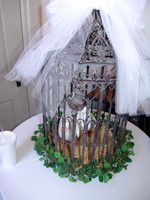 DSC00338.JPG