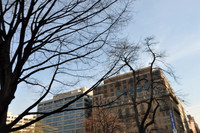 DSC_0014.JPG